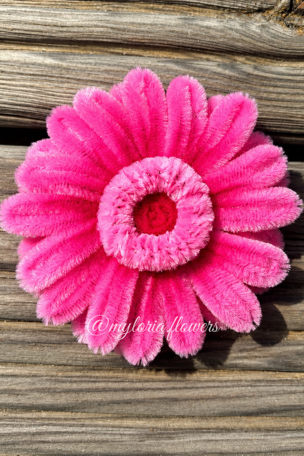 Barrette Gerbera Rose
