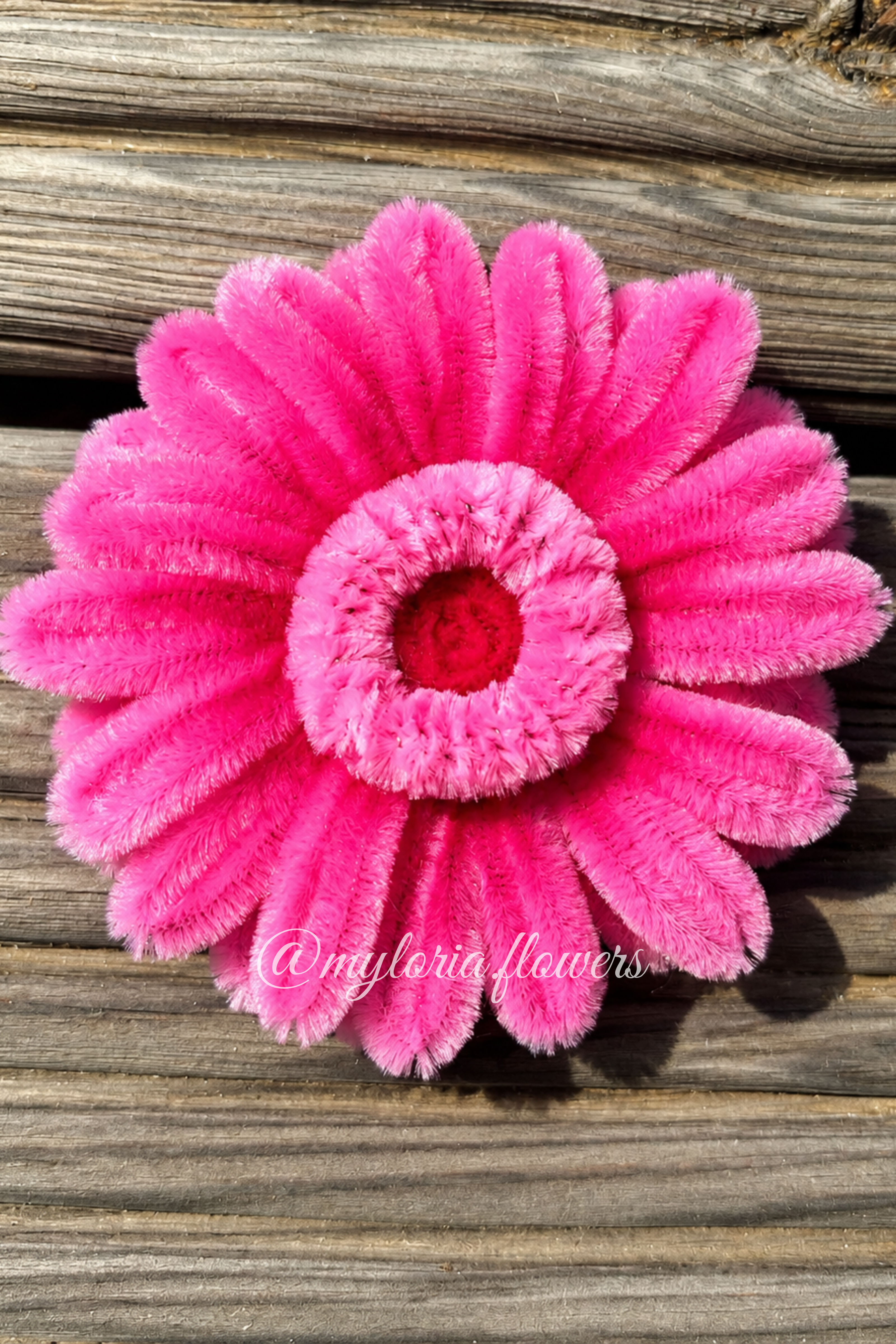 Barrette Gerbera Rose
