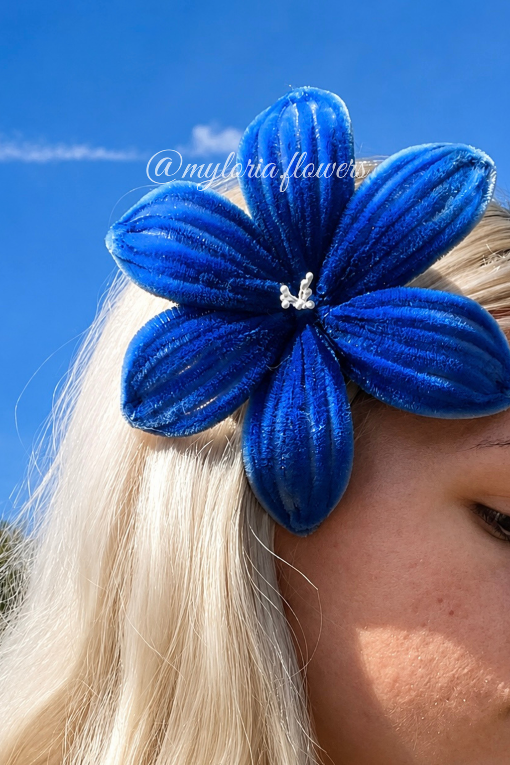 Barrette Lys Bleu électrique