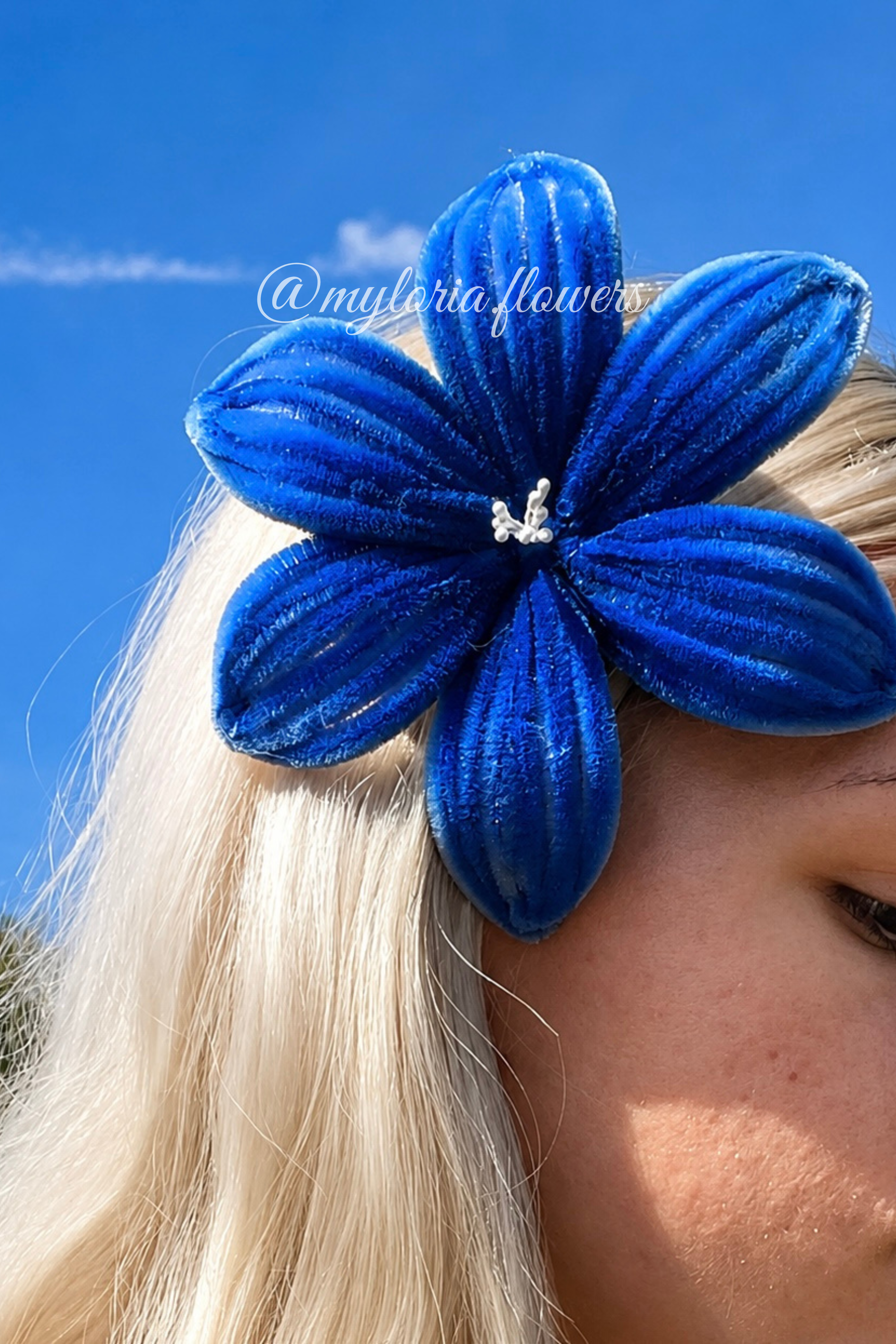 Barrette Lys Bleu électrique