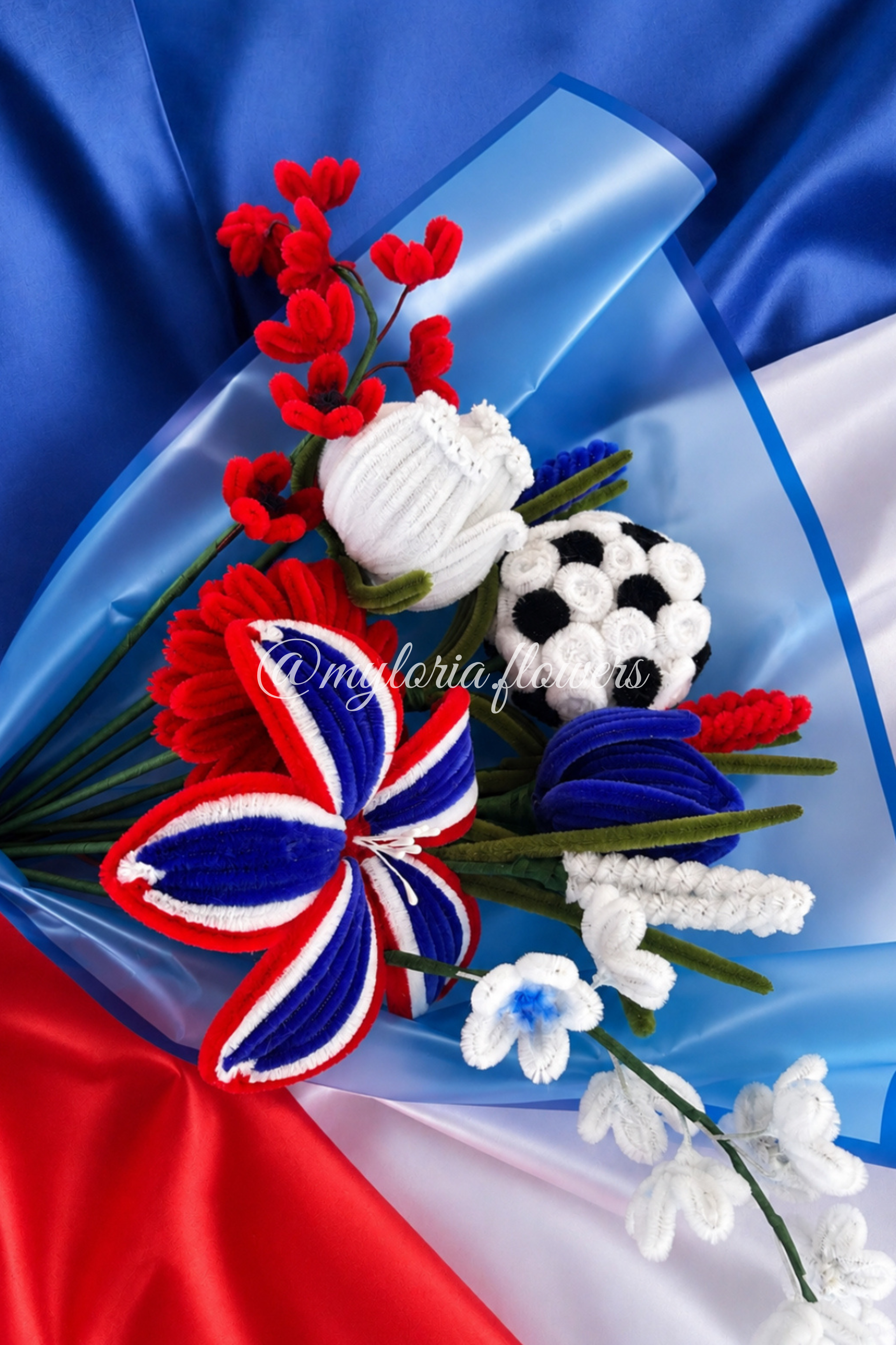 Bouquet Coupe du Monde France 2026 🇫🇷