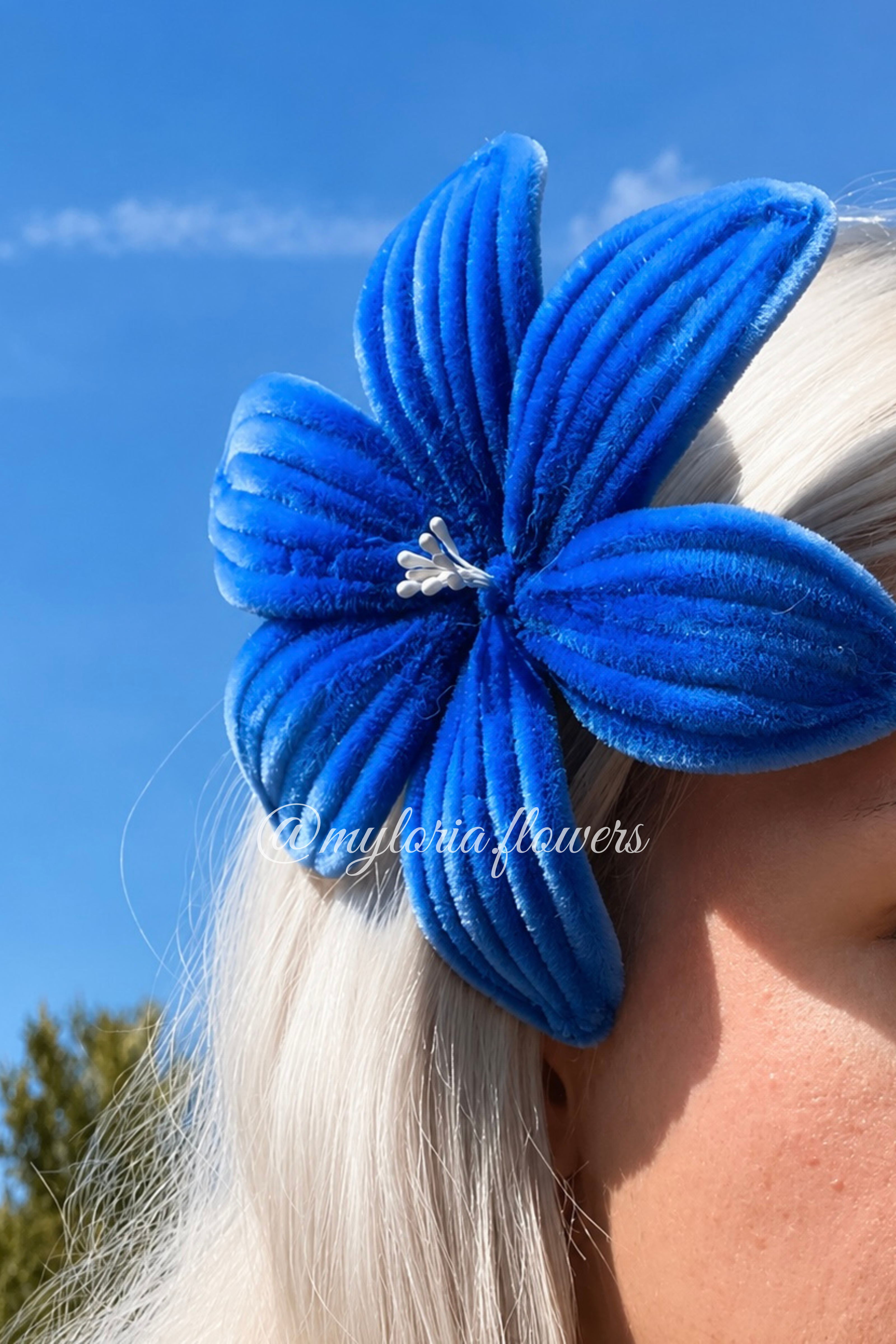 Barrette Lys Bleu électrique