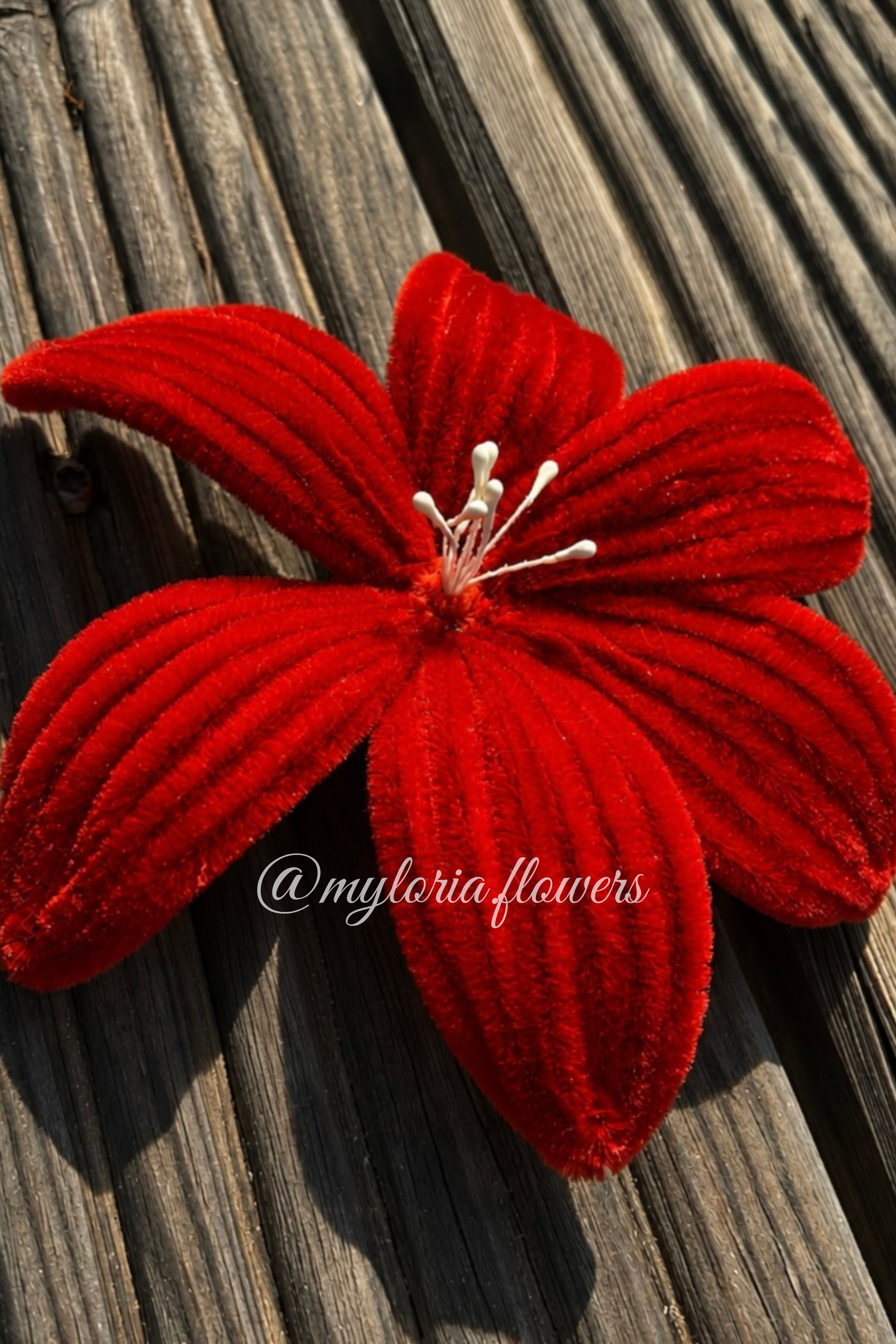 Barrette Lys Rouge