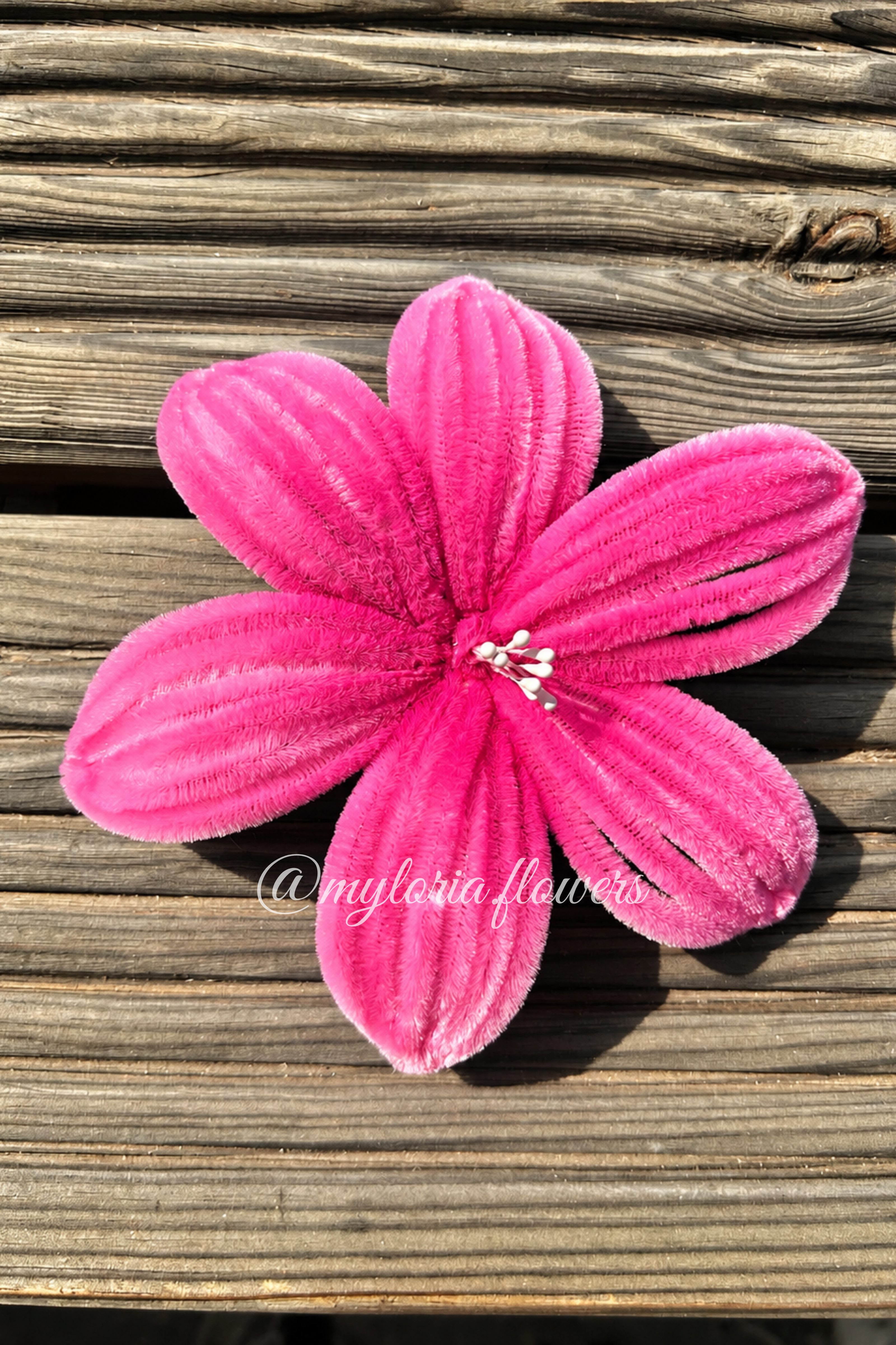 Barrette Lys Rose