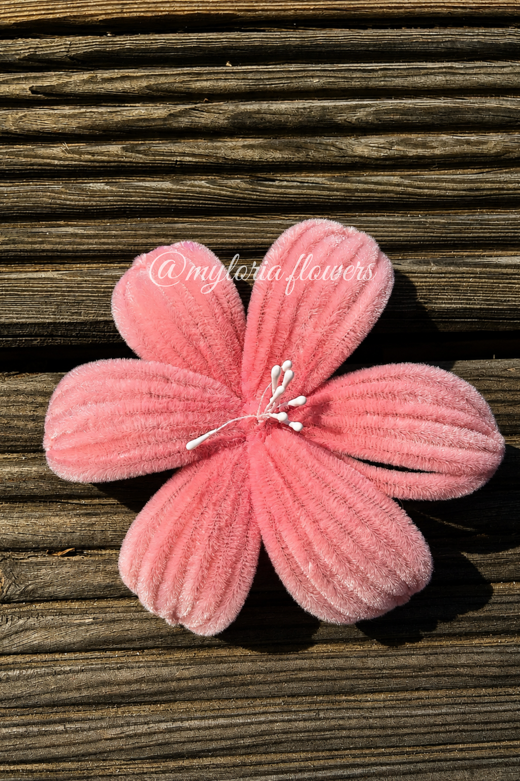 Barrette Lys Rose Clair