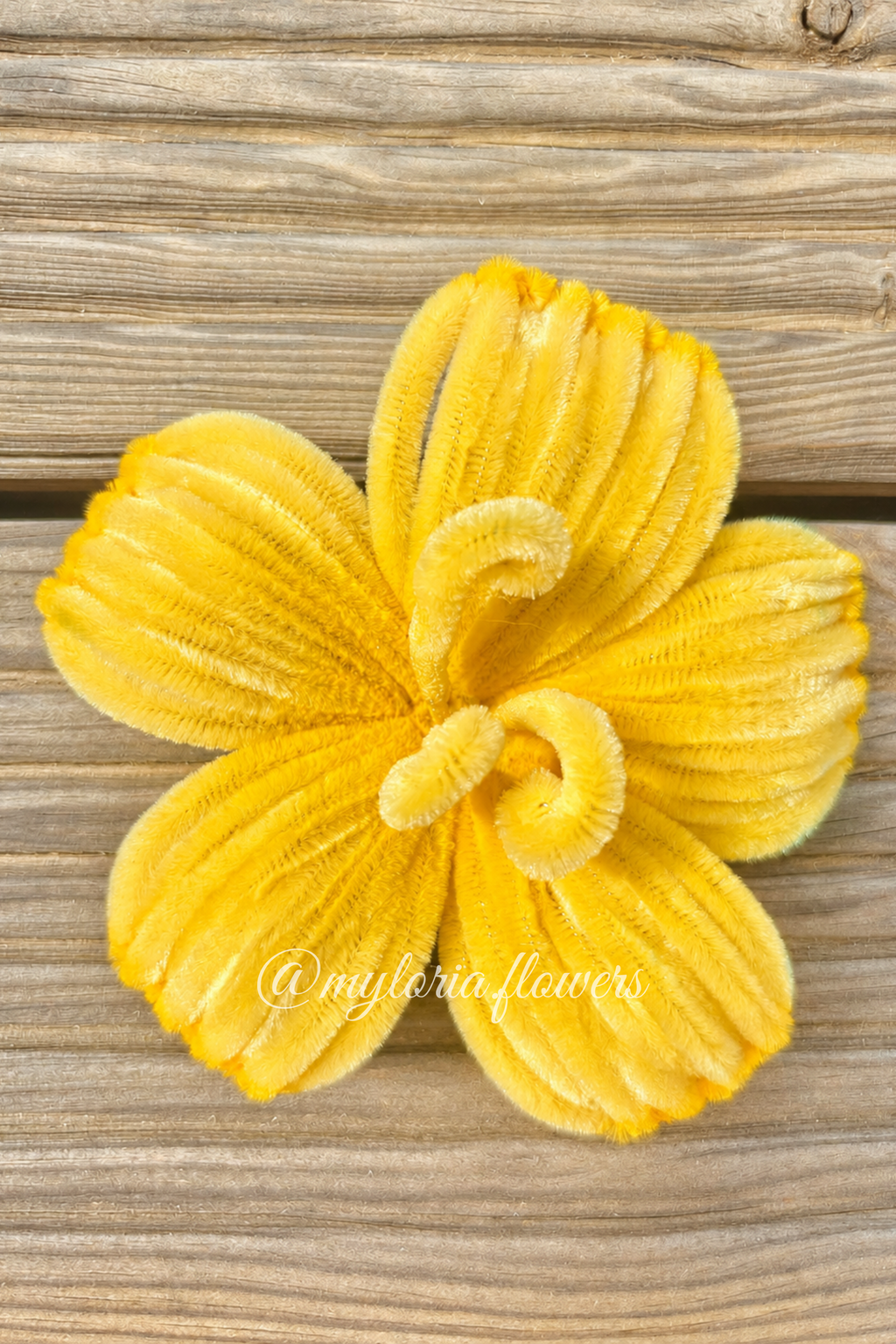 Barrette Hibiscus jaune