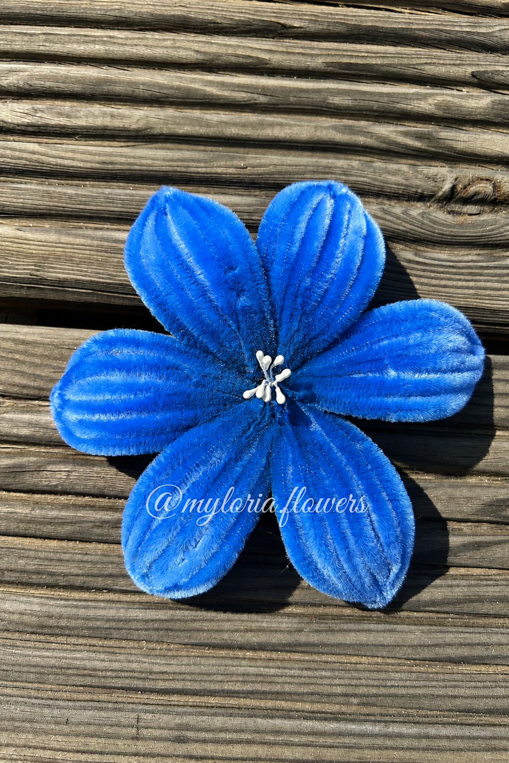 Barrette Lys Bleu électrique