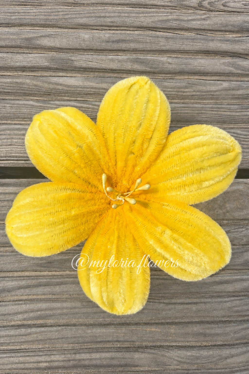 Barrette Lys jaune