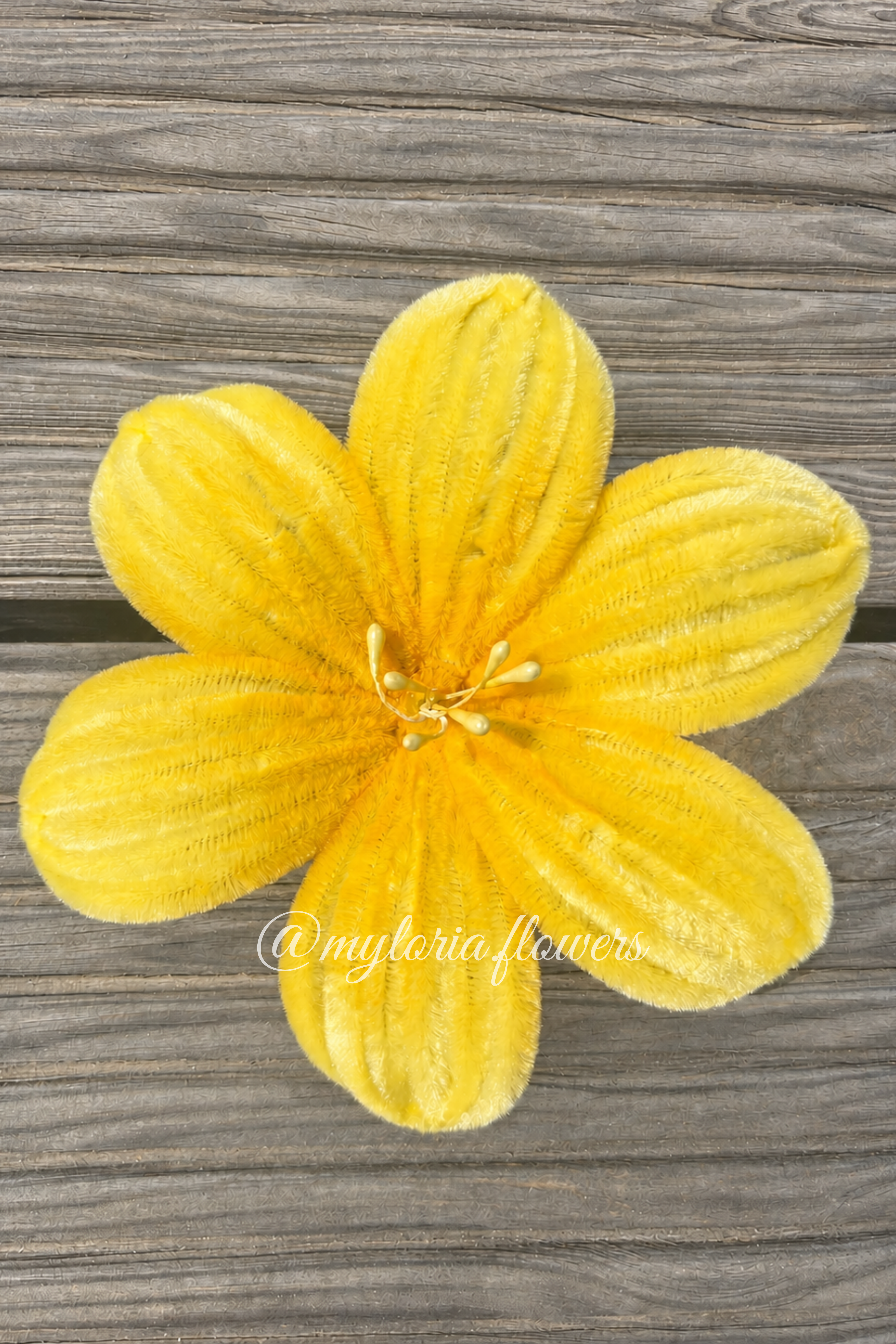 Barrette Lys jaune