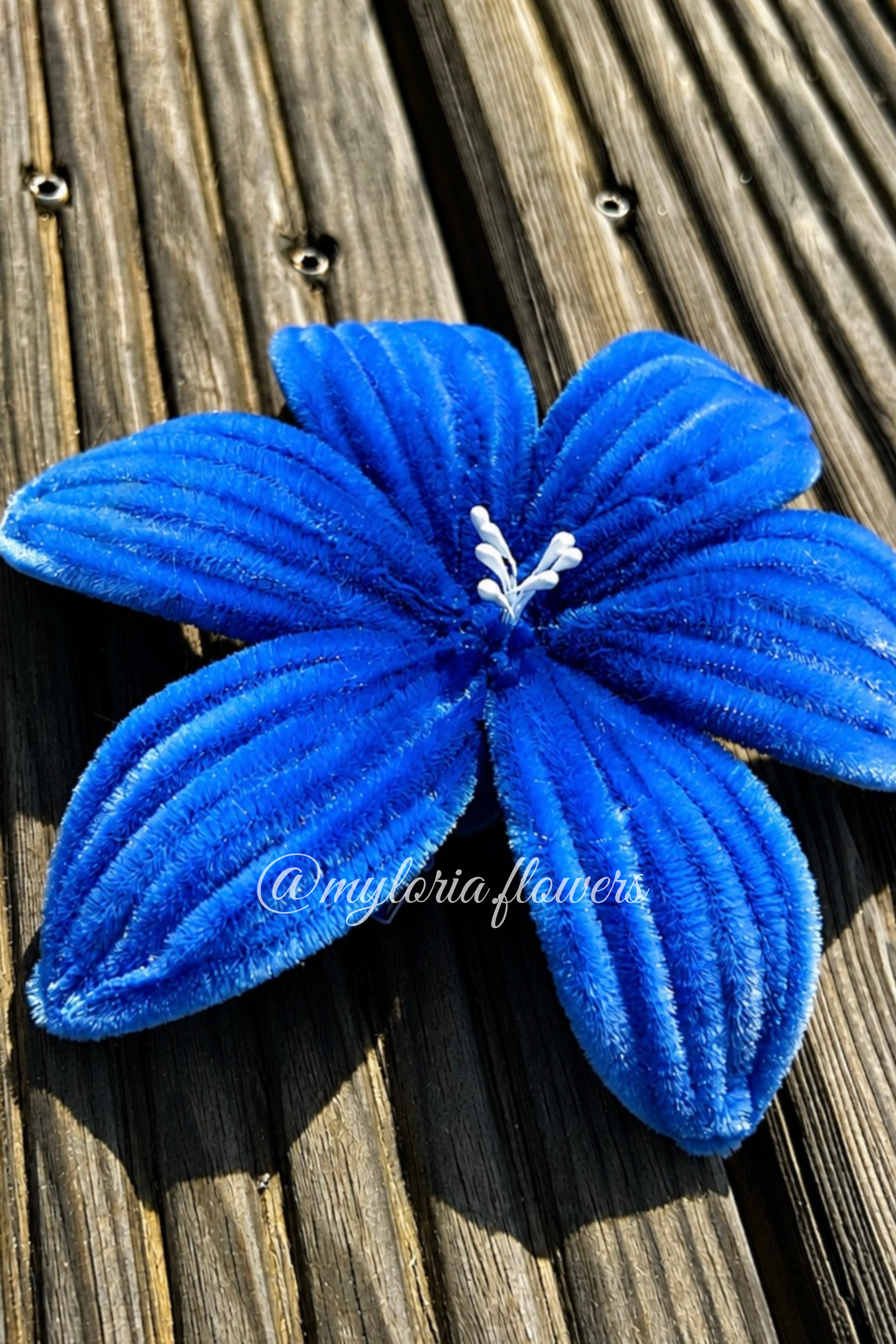 Barrette Lys Bleu électrique