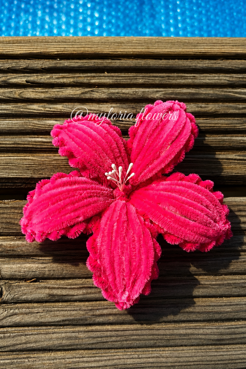 Barrette Lys Rose Fushia