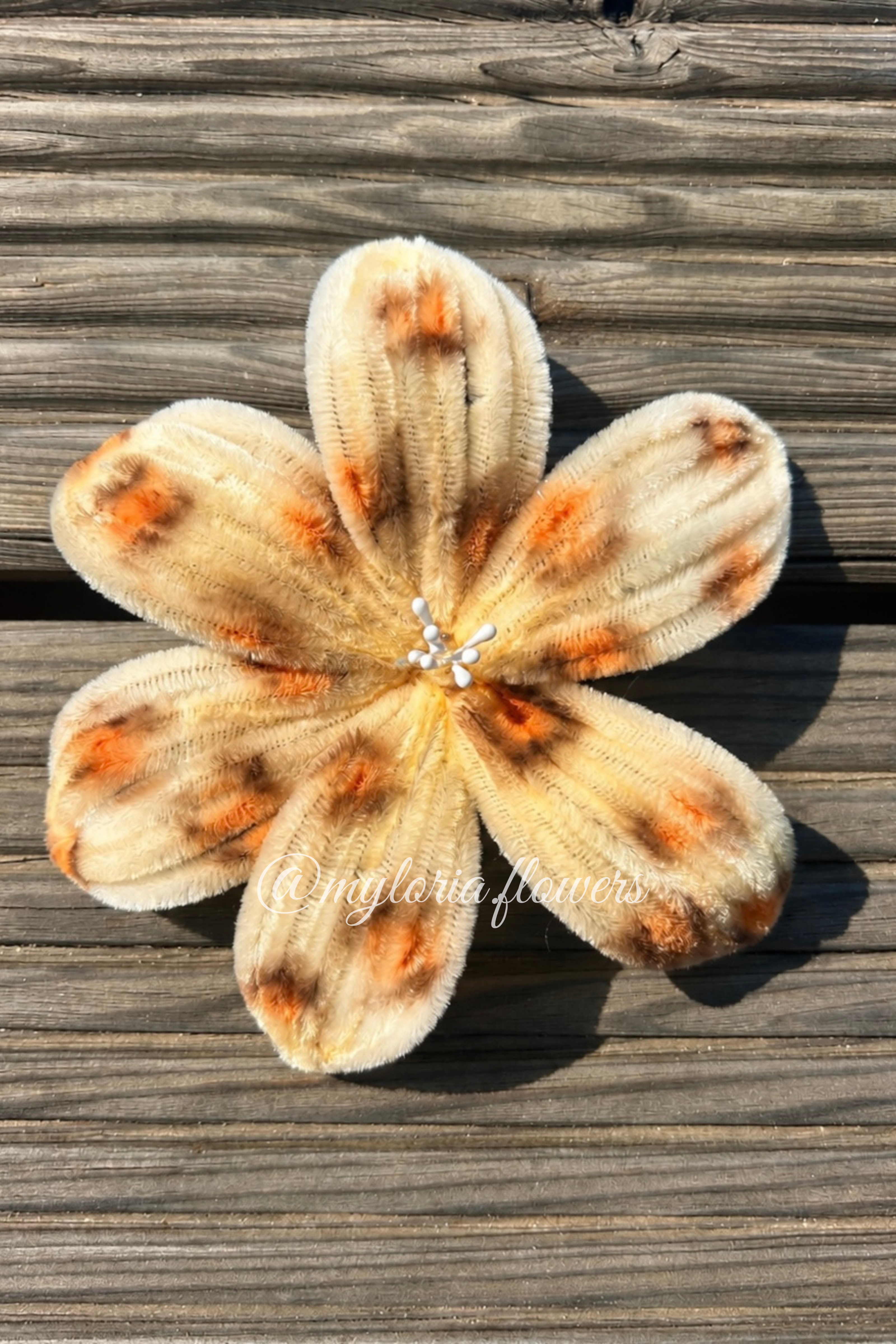 Barrette Lys Léopard