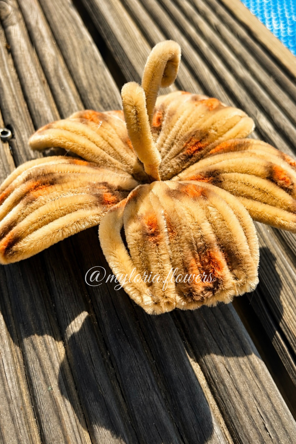 Barrette Hibiscus Léopard