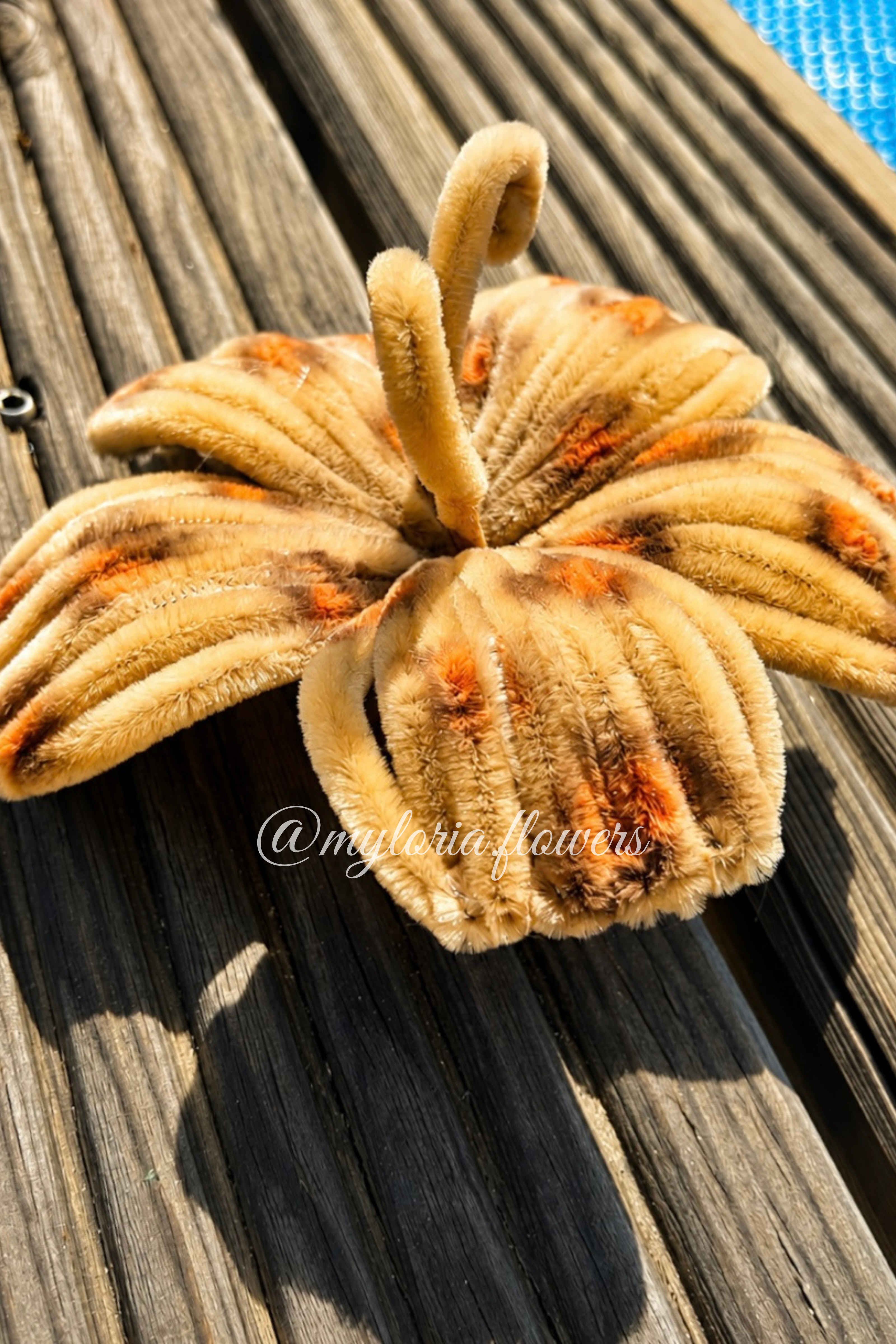 Barrette Hibiscus Léopard