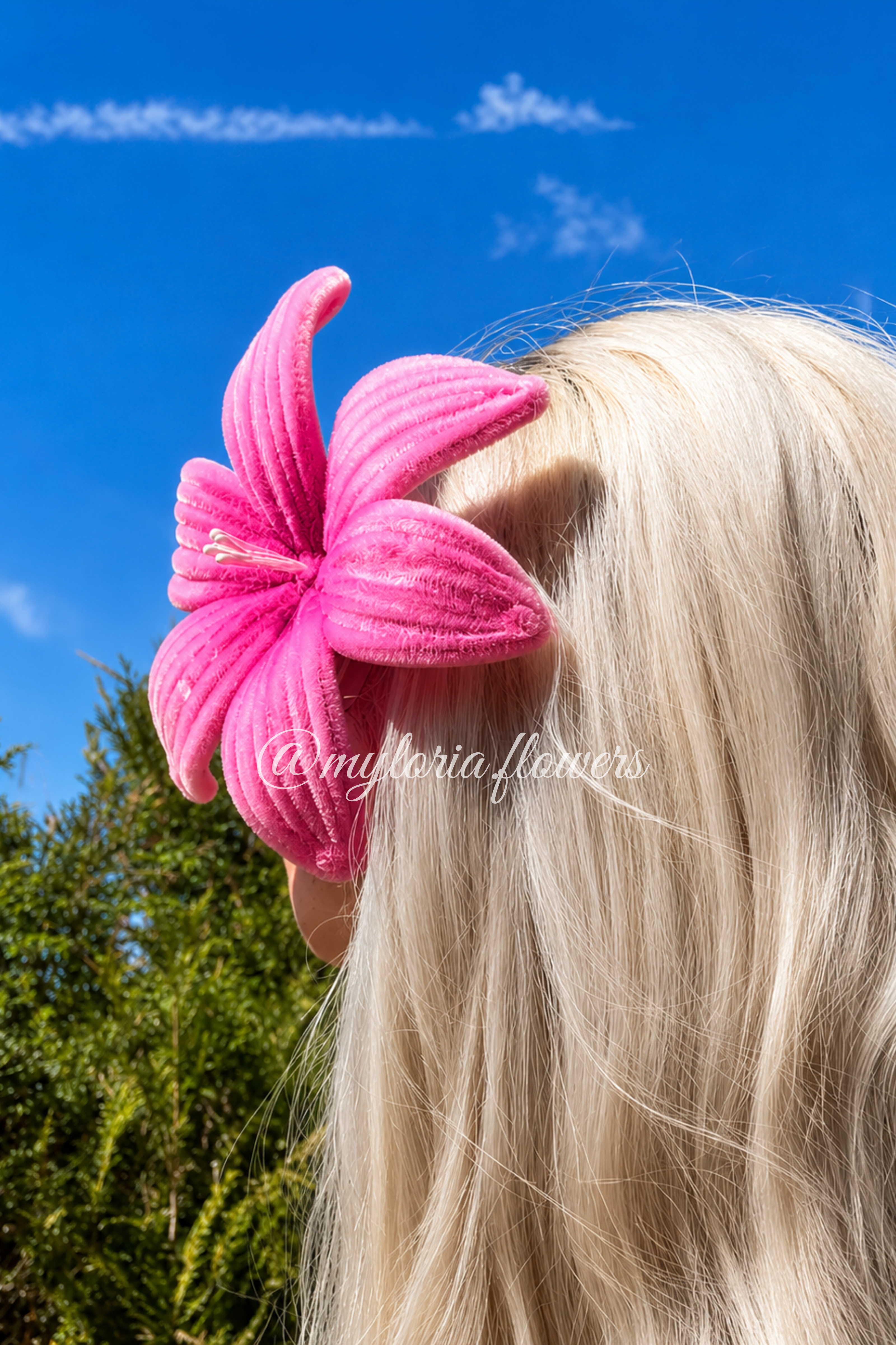 Barrette Lys Rose